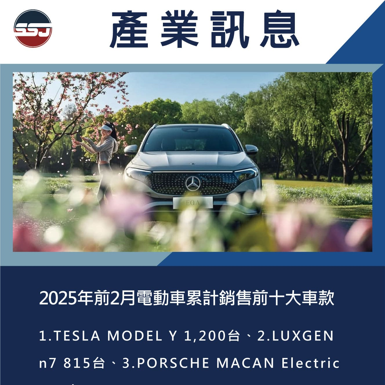 2025年前2月電動車累計銷售前十大車款